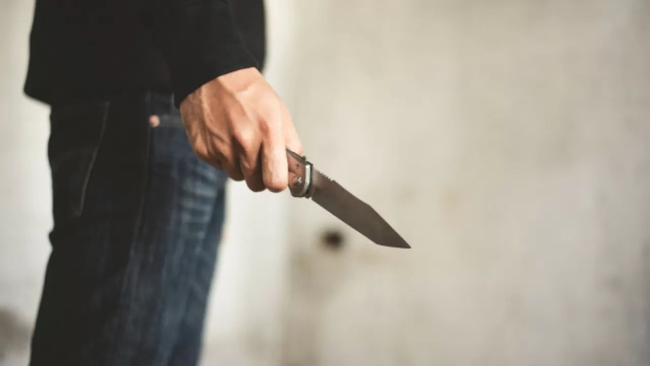 Ер адам мас күйде өз ағасын пышақтап өлтіріп қойған