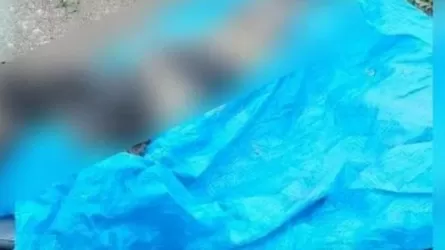 Алматы көшелерінің бірінде белгісіз жалаңаш әйелдің денесі табылды