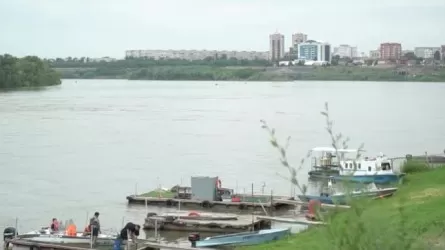 На павлодарском пляже утонул 19-летний юноша