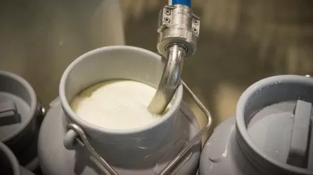 Сүт өнімдері импорты 800 мың тоннаға дейін өсті