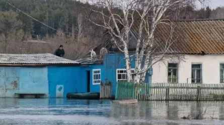 Әкімдіктер тасқыннан кейін инфрақұрылымды қалпына келтіруге бюджеттен 48,7 млрд теңге сұрап отыр