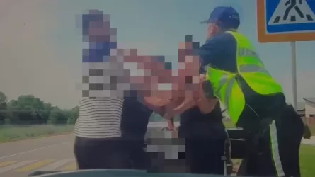 Пассажир остановленного авто накинулся на полицейского в Алматинской области
