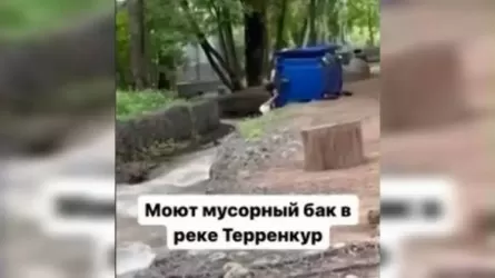 Алматыда дәмхана қызметкерлері өзенде қоқыс жәшігін жуған