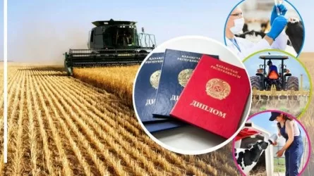 Ауыл квотасымен оқып, жұмыс істемегендер бюджетке 3,3 млрд теңге қайтармақ