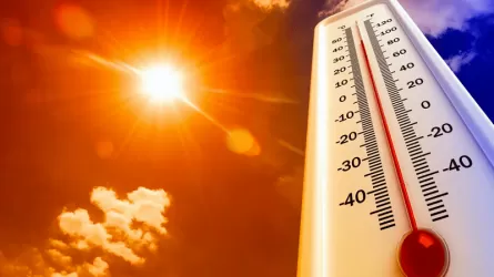 Алдағы күндері елімізде 46 градусқа дейін ыстық болады 