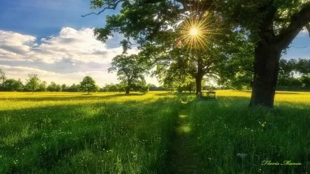 Еліміз бойынша 24 маусымға арналған ауа райы болжамы 