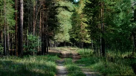"Лешкина тропа": в Павлодарской области обновили популярный туристический маршрут