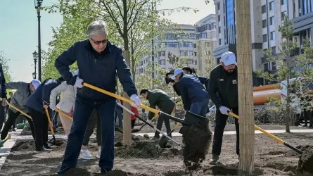 «Бұл – өте маңызды әлеуметтік, тіпті саяси жоба»: Президент «Таза Қазақстан» акциясы туралы