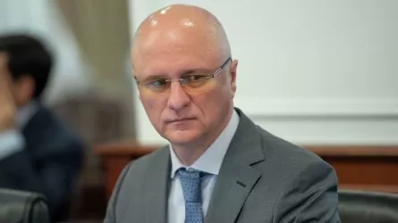 Утилизациялық алым енгізілгеннен кейін 1,5 жылдан соң елімізге белгілі неміс бренді келді
