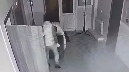 Горе-медвежатников повязали в Акмолинской области
