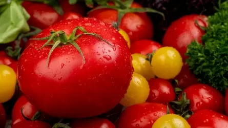 Ресейден әкелінген қызанақтан қауіпті вирус табылды