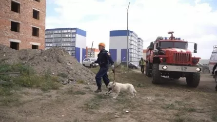 В Казахстане начинаются масштабные сейсмотренировки 