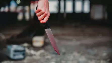 Поножовщина в Астане: преступника приговорили к девяти годам лишения свободы