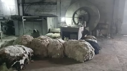 Солтүстік Қазақстанда тері өндейтін 2 зауыт ашылады