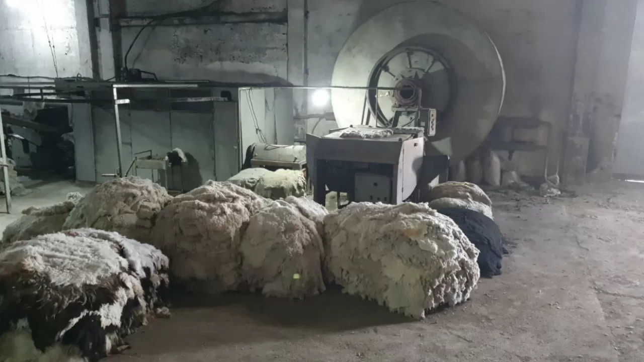 Солтүстік Қазақстанда тері өндейтін 2 зауыт ашылады