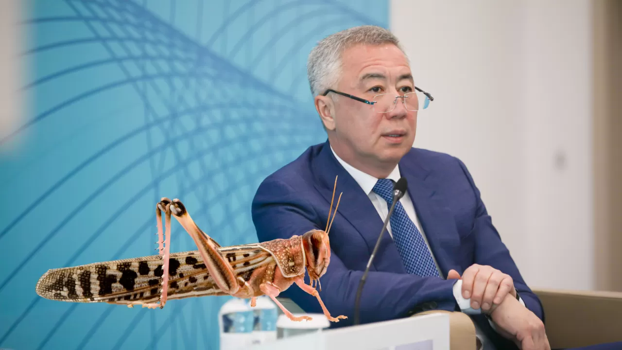 Шегірткені жеуге болады деп айтқан емеспін – Жұманғарин 