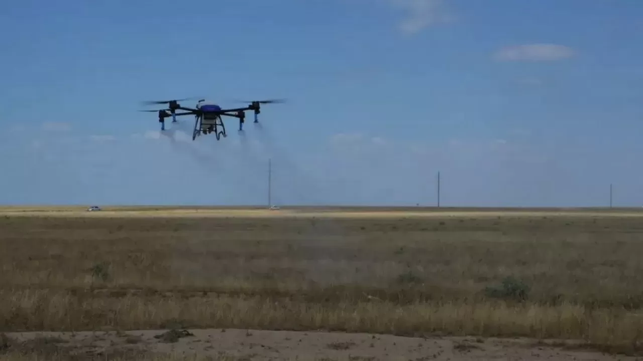 Шегірткелердің таралу аймағын бақылауға дрондар пайдаланылады