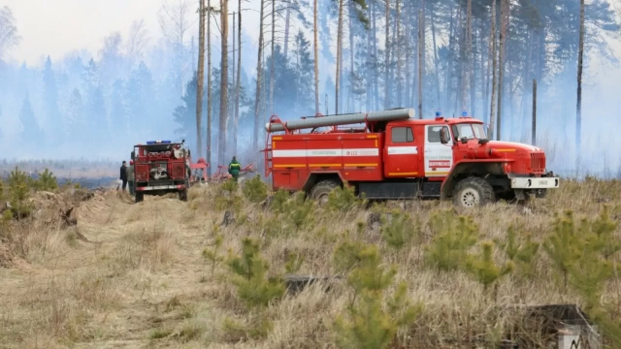 Орман өрт сөндіру станциялары дрон, жол талғамайтын көліктермен жабдықталады