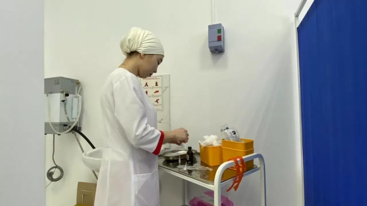 Ауыл медицинасы: Премьер-Министр өңір әкімдеріне тапсырма берді