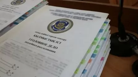 Белгілі блогердің үстінен қылмыстық іс қозғалды