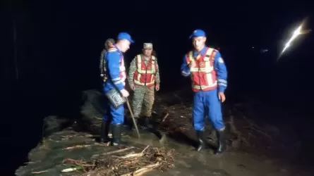 Жамбыл облысында сел жүріп, 500 қой суға ағып кеткен