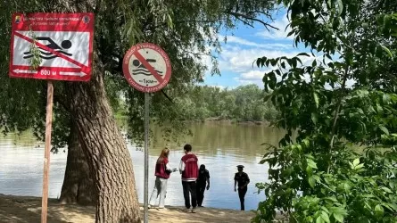 Тревожная статистика: десятки детей и взрослых утонули в Казахстане  