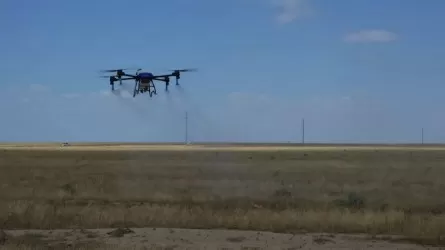 Шегірткелердің таралу аймағын бақылауға дрондар пайдаланылады