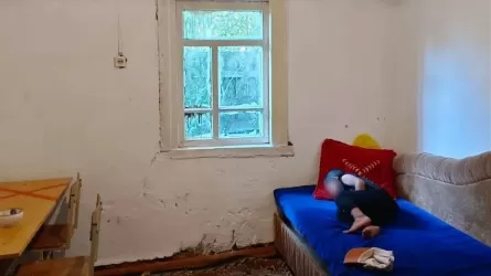 Павлодарда 12 жасында ана атанған қыз туралы адам шошырлық деректер пайда болды
