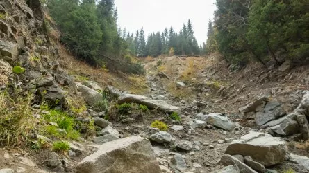 Коррупция в предгорьях Алматы: почти 30 тыс. жителей в опасности