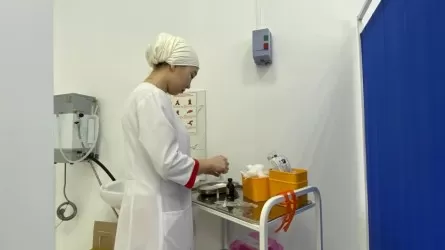 Ауыл медицинасы: Премьер-Министр өңір әкімдеріне тапсырма берді
