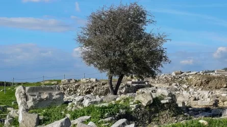 Уникальную архитектуру обнаружили казахстанские археологи в Сарайшыке 