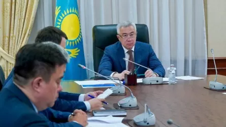 Елімізде шегірткеге қарсы 2 млн гектар алқап өңделді