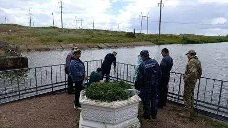 На канале Сатпаева гибнет рыба?