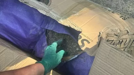 Четверть тонны маковой соломки извлекли из внедорожника в Караганде 