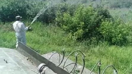 7 тысяч объектов продезинфицировали в ЗКО