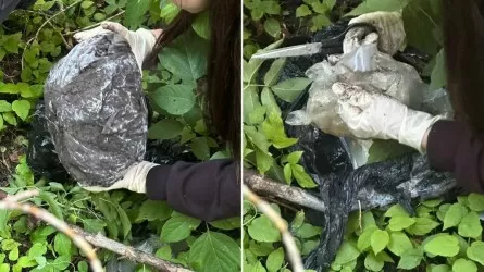 Сбыт крупной партии синтетических наркотиков сорван в Караганде 