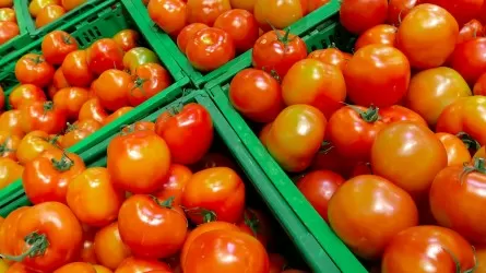 Купить сельхозтовары предлагают жителям Астаны на новой ярмарке
