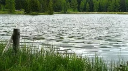 Павлодар тұрғыны адам өлтіріп, денесін cуға тастаған