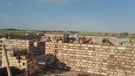 Более 300 фактов незаконной трудовой деятельности выявлено в Павлодарской области 