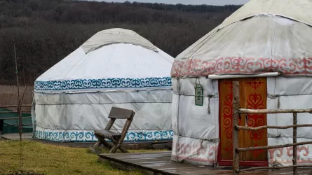 Киіз үйдің төрінде жартылай жалаңаштанып ойқастаған қыздарға қатысты билік шешімін жариялады