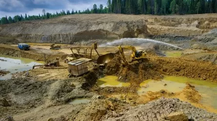 Алтын өндіретін алпауытпен тайталасқан ауылдықтар түрмеден босап шықты