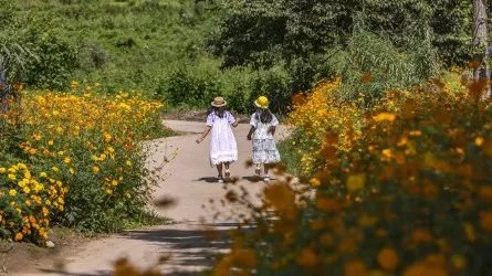 Почему детский омбудсмен высказалась против решения Конституционного суда 