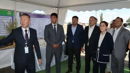 Сельхозкооператив в ЗКО объединил целое село
