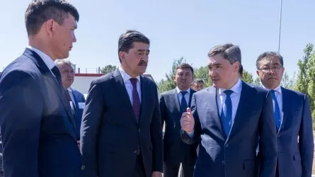 Үкімет басшысы Семей орманын қалпына келтіру жұмыстарын тексерді