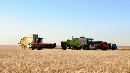 Қарағанды облысында астық алқаптарының 70 пайызы жиналды