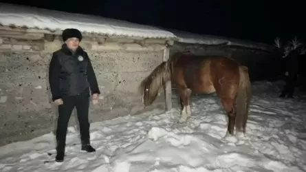Шығыс Қазақстанда 5 млн теңгенің малын ұрлаған күдікті ұсталды
