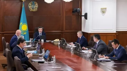 «Бос уақытта ойнаймын»: Премьер-министр отандық стартапты қолдауға шақырды
