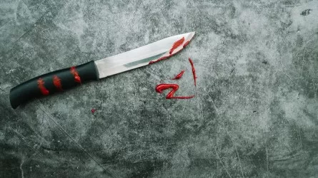 Ученик с ножом зарезал двух человек в гимназии в Словакии