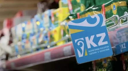 Мәжілісте отандық өндірісті қолдауға қатысты заң жобасы бірінші оқылымда мақұлданды