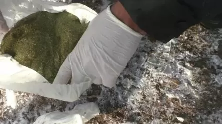 Шу тұрғыны үйінде аса ірі көлемде есірткі сақтаған